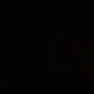 Meet your Posher, Noah